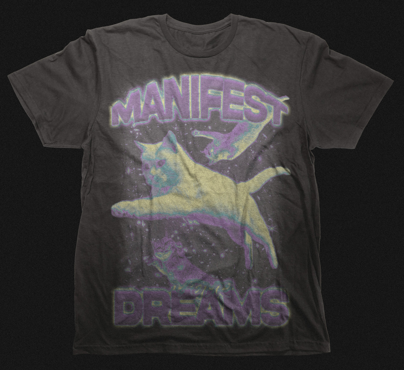 MANIFEST YOUR DREAMS T-SHIRT
