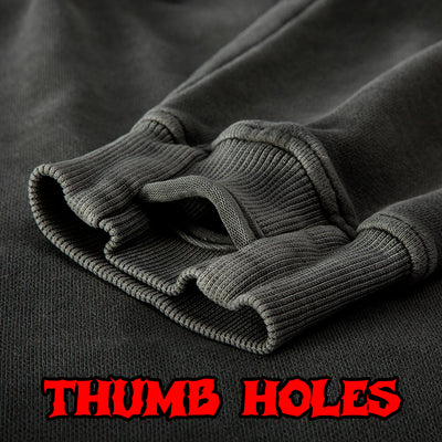 DEMOCRACY DELIVERS HOODIE